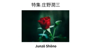 庄野潤三作品一覧｜出版順・年代順で読む全長編と短編集 - 時空標本